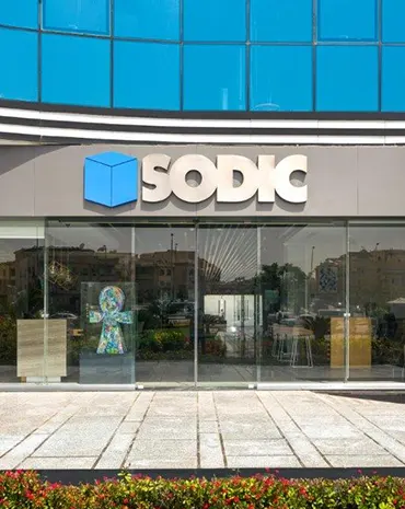 13- Sodic