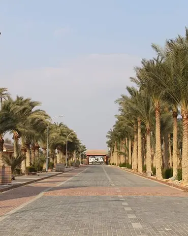 24- Sulaymaniyah village
