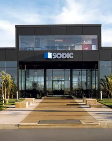 8- Sodic